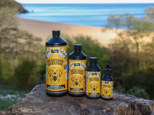 Proflax Skin and Coat for Dogs