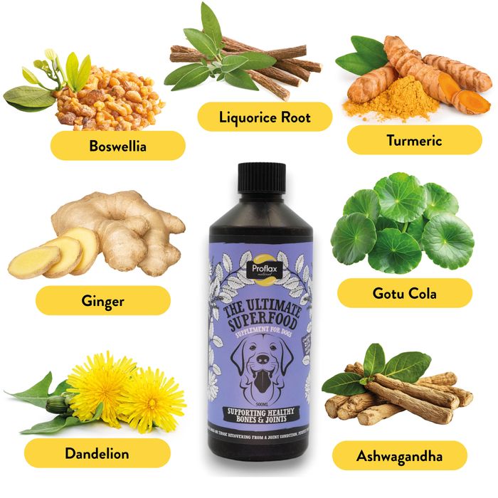 Proflax Bone and Joint for Dogs