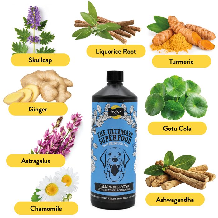 Proflax Calm & Collected for Dogs