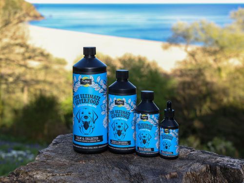 Proflax Calm & Collected for Dogs
