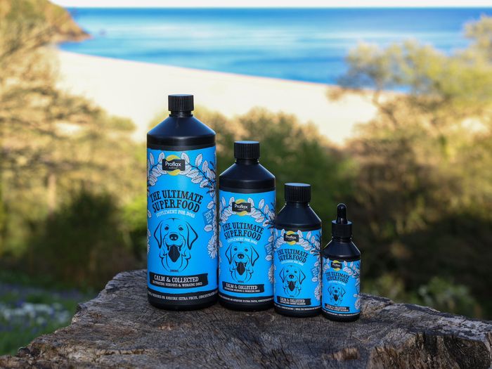 Proflax Calm & Collected for Dogs