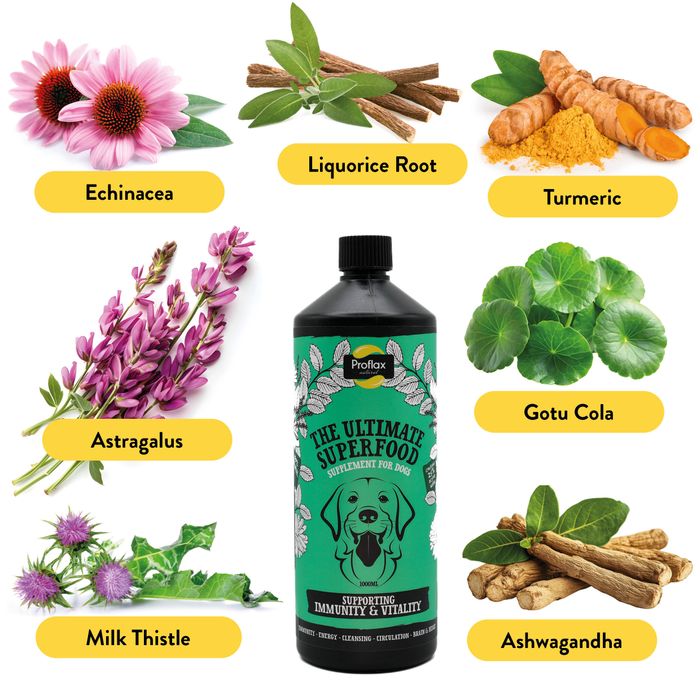 Proflax Immunity & Vitality for Dogs