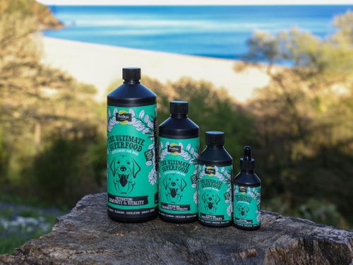 Proflax Immunity & Vitality for Dogs