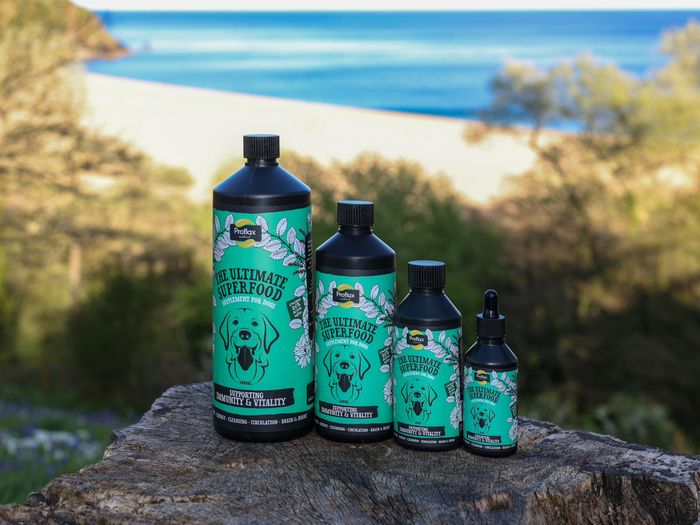 Proflax Immunity & Vitality for Dogs