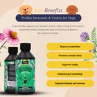 Proflax Immunity & Vitality for Dogs