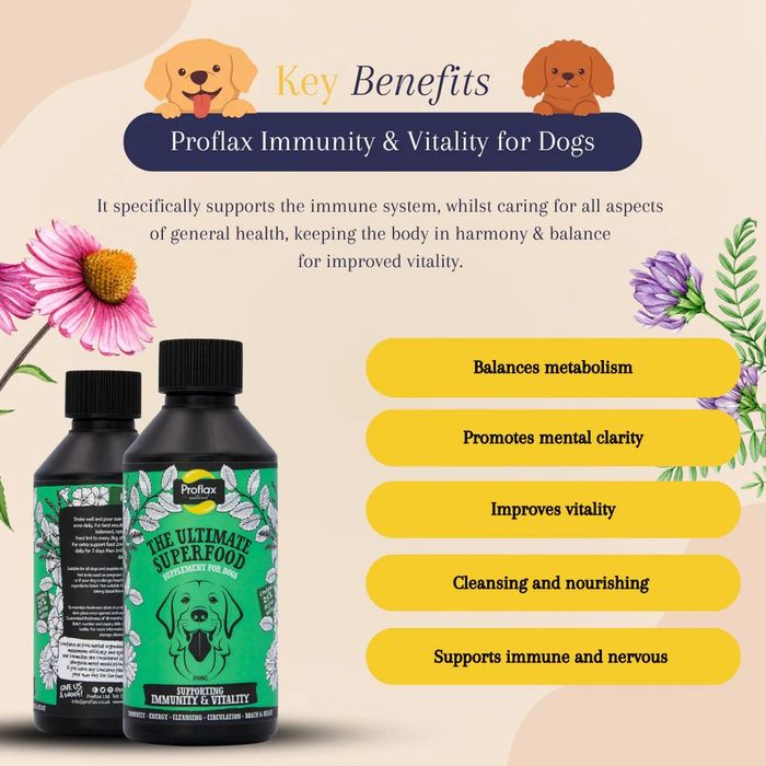 Proflax Immunity & Vitality for Dogs