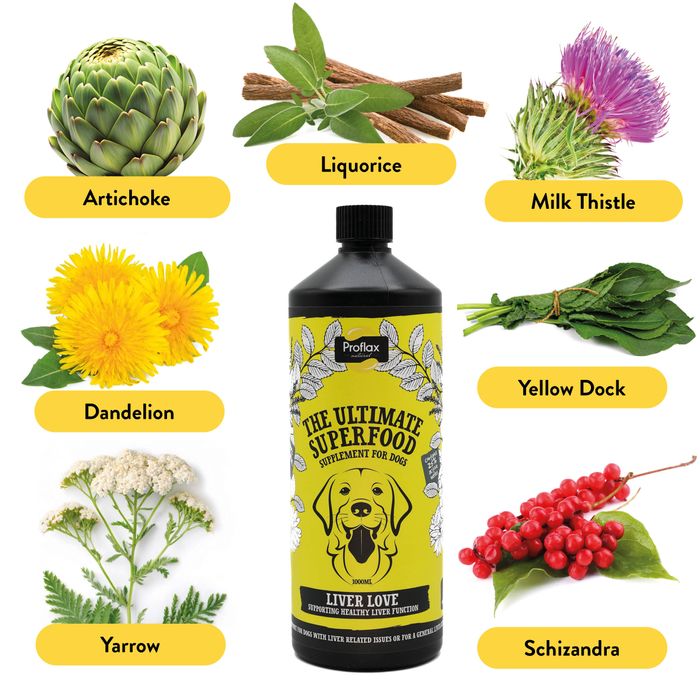 Proflax Liver Love for Dogs