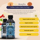 Proflax Golden Oldies for Dogs