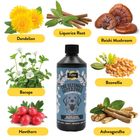 Proflax Golden Oldies for Dogs