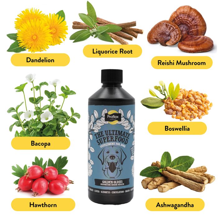 Proflax Golden Oldies for Dogs