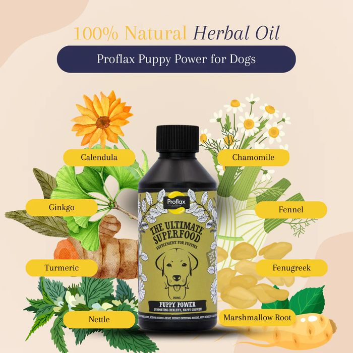 Proflax Puppy Power for Dogs
