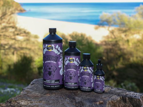 Proflax Kidney Care for Dogs