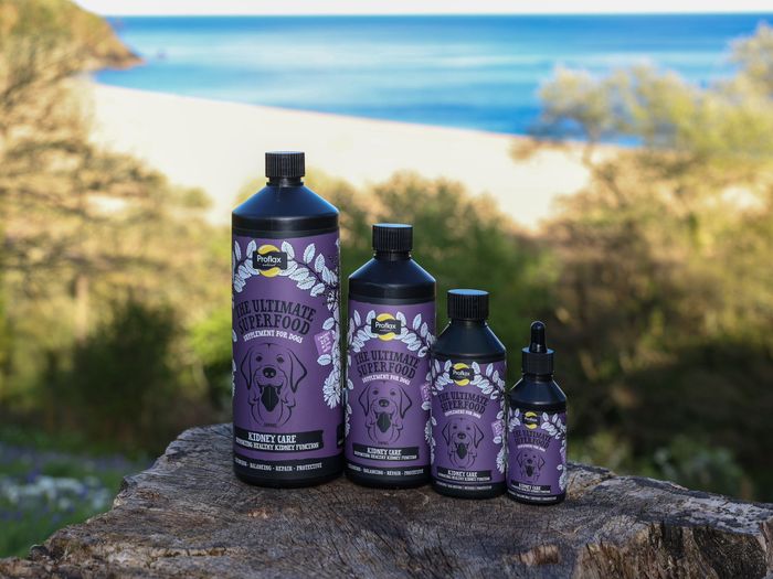 Proflax Kidney Care for Dogs