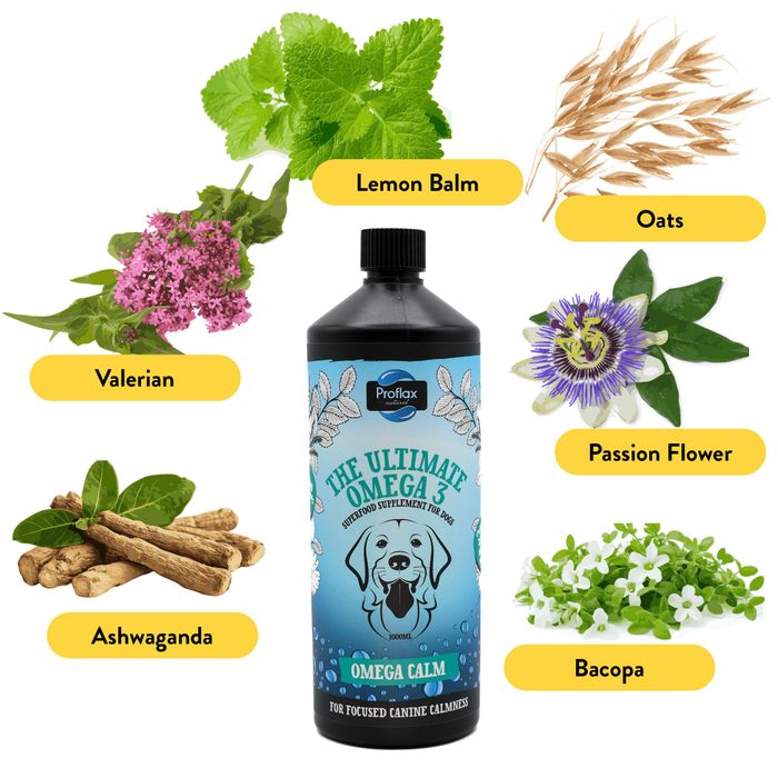 Proflax Omega Calm for Dogs