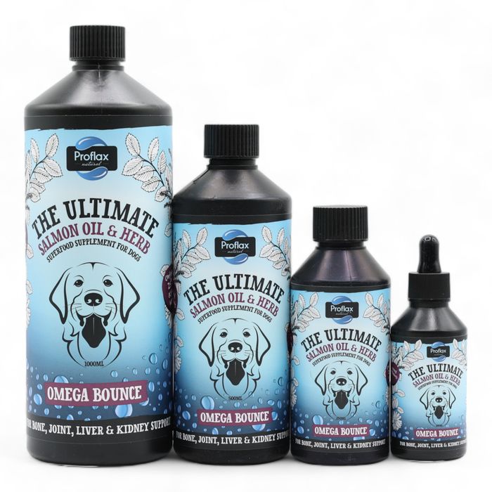 Proflax Omega Bounce for Dogs