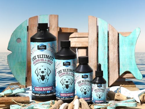 Proflax Omega Bounce for Dogs