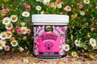 Proflax Tummy Tastic for Dogs