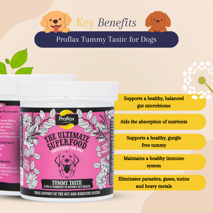 Proflax Tummy Tastic for Dogs