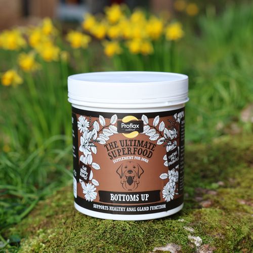 Proflax Bottoms Up for Dogs