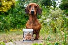 Proflax Bottoms Up for Dogs
