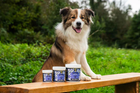 Proflax Mega Mobility for Dogs