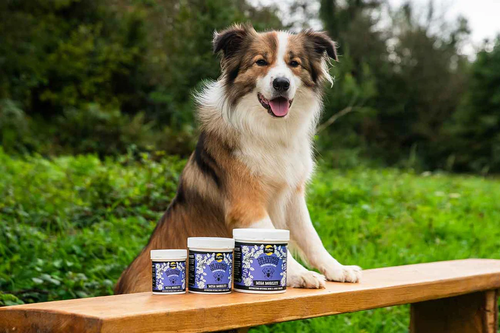 Proflax Mega Mobility for Dogs