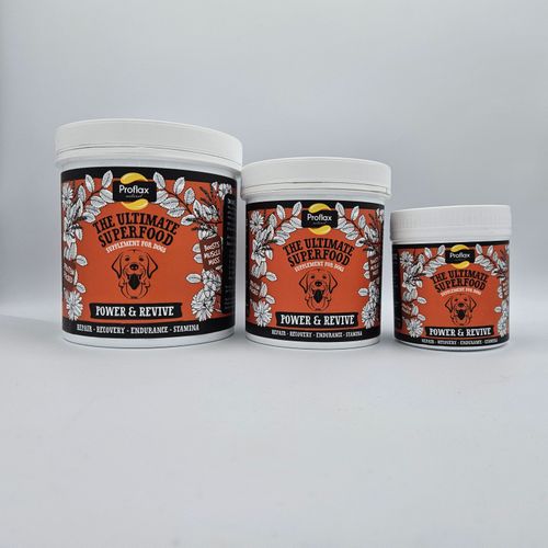 Proflax Power & Revive for Dogs