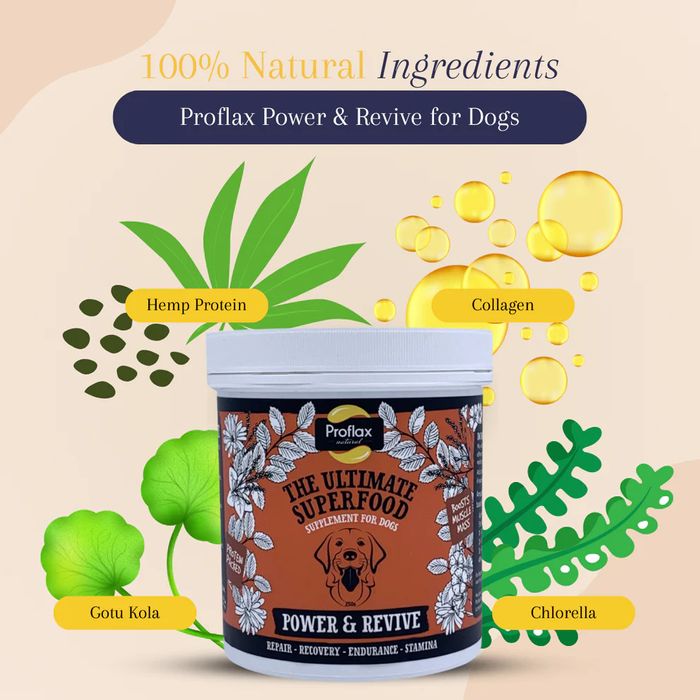 Proflax Power & Revive for Dogs