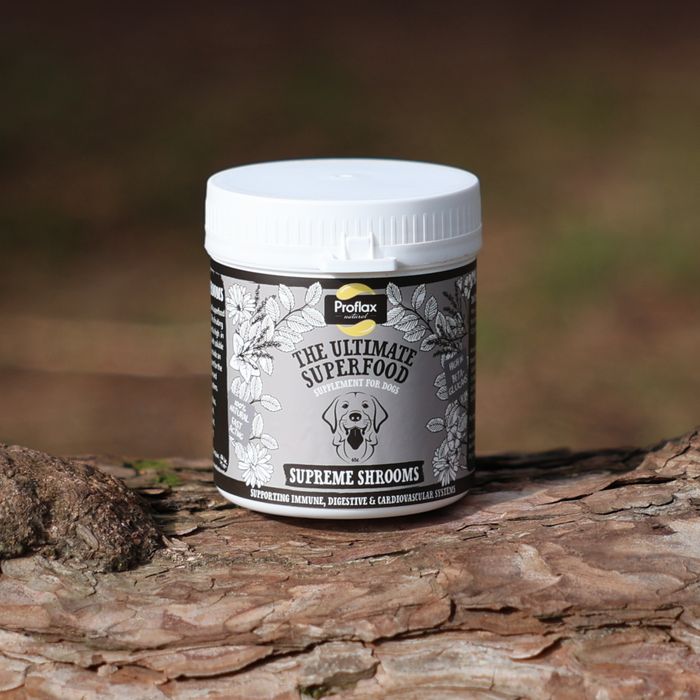 Proflax Supreme Shrooms for Dogs