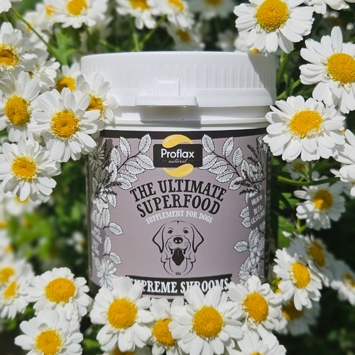Proflax Supreme Shrooms for Dogs