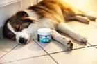Proflax Calming Superchews for Dogs