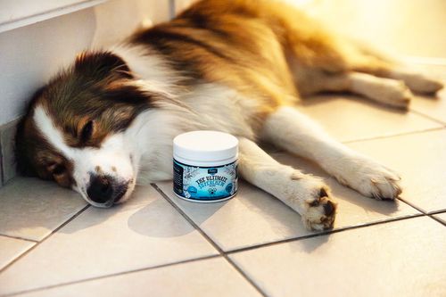 Proflax Calming Superchews for Dogs