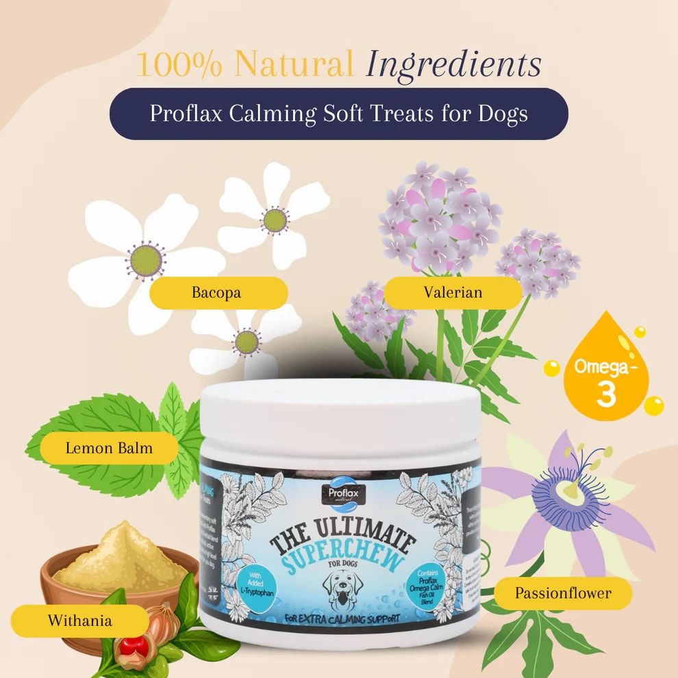 Proflax Calming Superchews for Dogs