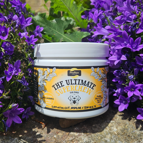 Proflax Skin, Gut & Immune Superchews for Dogs