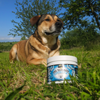 Proflax Senior Superchews for Dogs