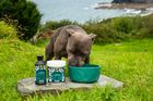 Proflax Keep Off Me! 100% Pure Tincture for Dogs