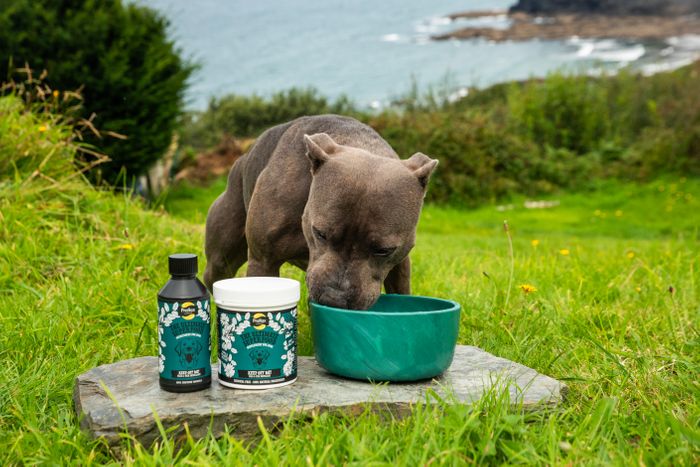 Proflax Keep Off Me! 100% Pure Tincture for Dogs
