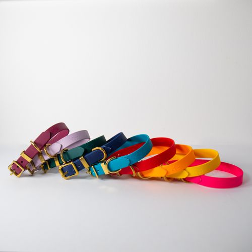 All Weather Biothane collars