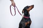 All Weather Biothane collars
