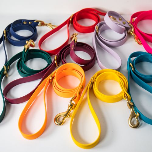 All Weather Biothane dog lead