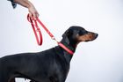 All Weather Biothane dog lead