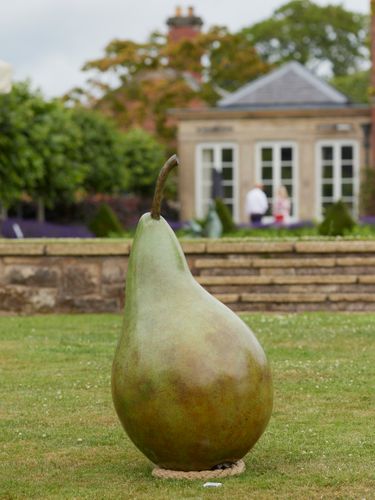 Pear, Adam Paddon
