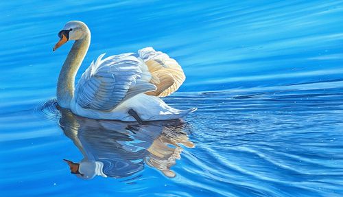 Swan Lake, Ben Waddams