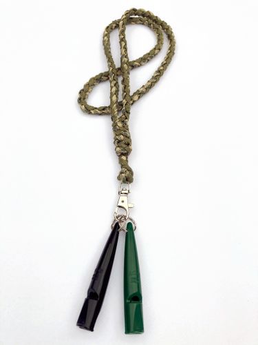 Lanyard