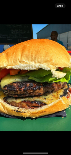 Venison burgers 