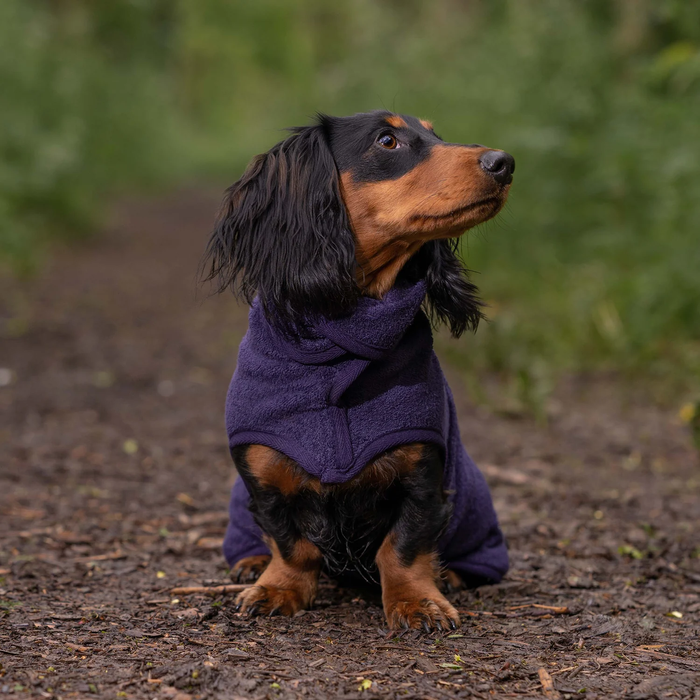 Dog Drying Coat