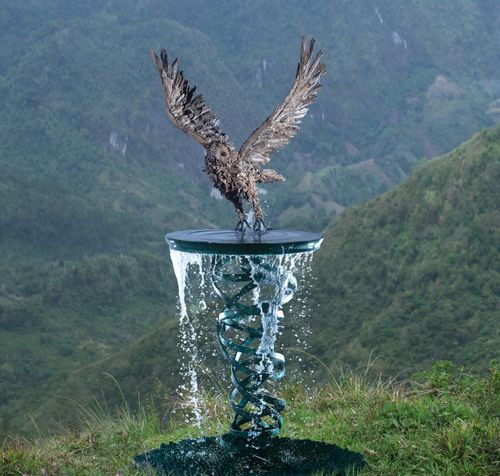JAMES DORAN-WEBB | Taking Wing
