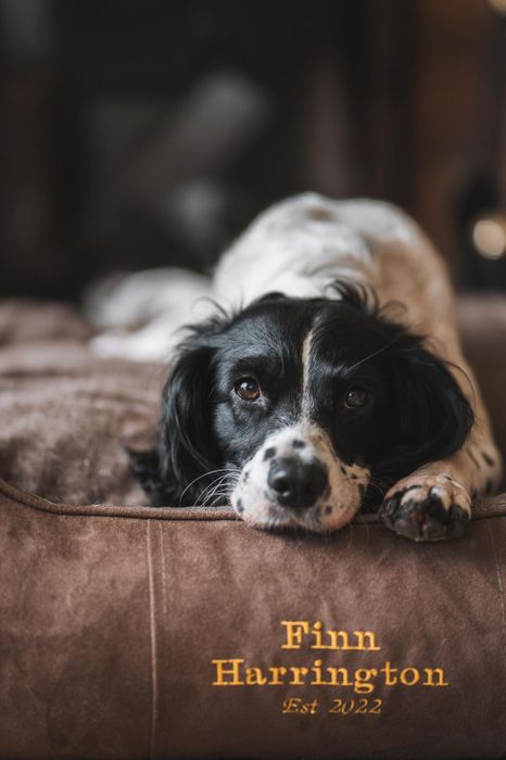 FH Classic Dog Bed