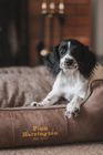 FH Classic Dog Bed