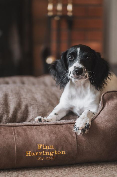 FH Classic Dog Bed